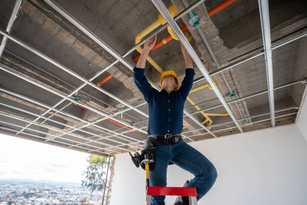 Best Best Plumbers Near Me  in Haliimaile, HI