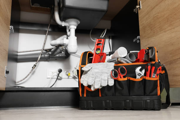 Best Affordable Plumbing Services  in Haliimaile, HI