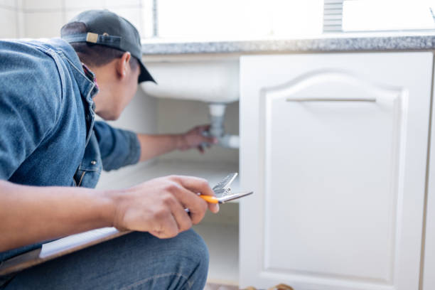 Best Leak Detection Services  in Haliimaile, HI